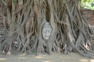 世界旅行ランキング(日本国内とその周辺国)